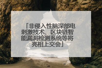 非侵入性脑深部电刺激技术、区块链智能漏洞检测系统等将亮相上交会