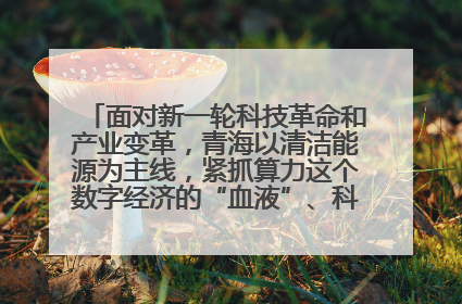 面对新一轮科技革命和产业变革，青海以清洁能源为主线，紧抓算力这个数字经济的“血液”、科技主权的“筹码”、产业升级的“杠杆”、绿色转型的“支点”，勇于撬动国家“双碳”战略、“东数西算”工程重大发展新机遇