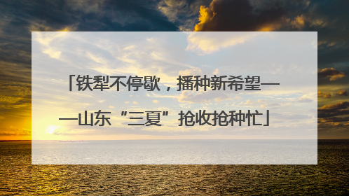 铁犁不停歇，播种新希望——山东“三夏”抢收抢种忙