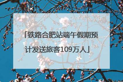 铁路合肥站端午假期预计发送旅客109万人