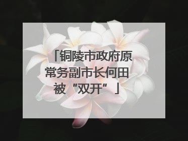 铜陵市政府原常务副市长何田被“双开”