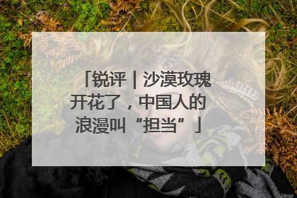 锐评｜沙漠玫瑰开花了，中国人的浪漫叫“担当”