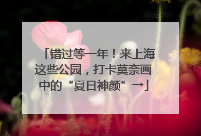 错过等一年！来上海这些公园，打卡莫奈画中的“夏日神颜”→