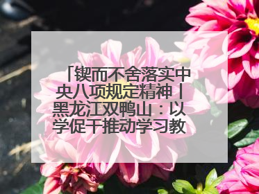 锲而不舍落实中央八项规定精神丨黑龙江双鸭山：以学促干推动学习教育走深走实 从小事入手写好“民生答卷”
