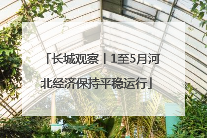 长城观察丨1至5月河北经济保持平稳运行