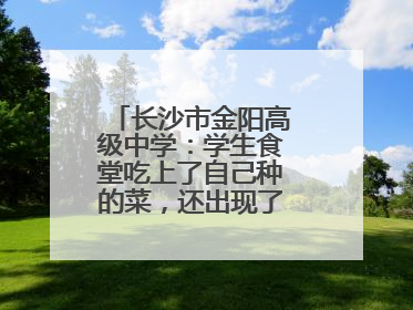 长沙市金阳高级中学：学生食堂吃上了自己种的菜，还出现了一批劳动能手