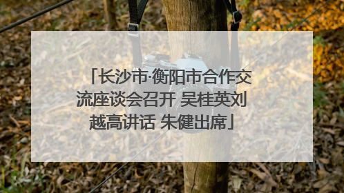 长沙市·衡阳市合作交流座谈会召开 吴桂英刘越高讲话 朱健出席