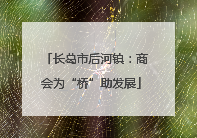 长葛市后河镇：商会为“桥”助发展