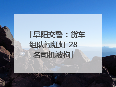 阜阳交警：货车组队闯红灯 28名司机被拘
