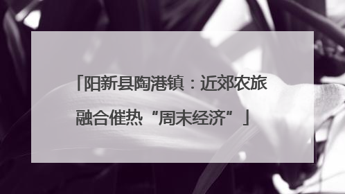 阳新县陶港镇：近郊农旅融合催热“周末经济”