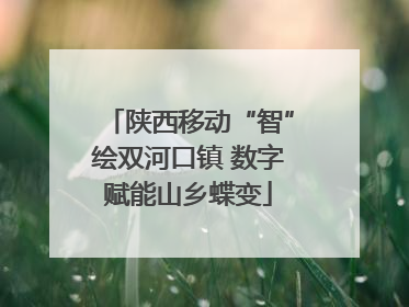 陕西移动“智”绘双河口镇 数字赋能山乡蝶变