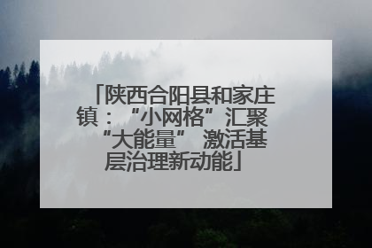 陕西合阳县和家庄镇：“小网格”汇聚“大能量” 激活基层治理新动能