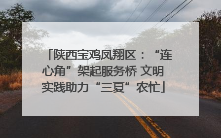 陕西宝鸡凤翔区：“连心角”架起服务桥 文明实践助力“三夏”农忙
