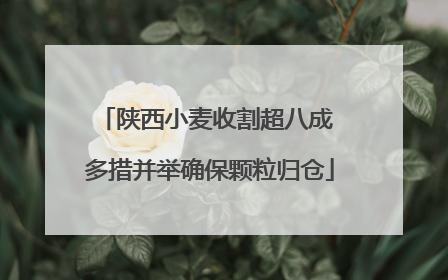 陕西小麦收割超八成 多措并举确保颗粒归仓