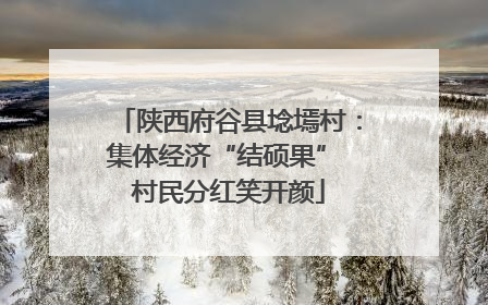 陕西府谷县埝墕村：集体经济“结硕果” 村民分红笑开颜