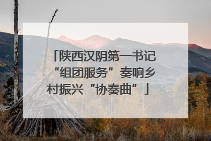 陕西汉阴第一书记“组团服务”奏响乡村振兴“协奏曲”