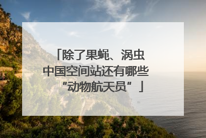 除了果蝇、涡虫 中国空间站还有哪些“动物航天员”
