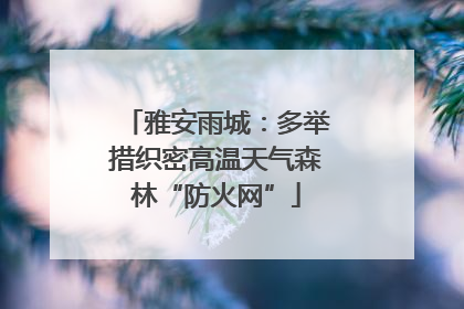 雅安雨城：多举措织密高温天气森林“防火网”