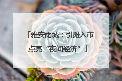 雅安雨城：引摊入市 点亮“夜间经济”