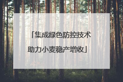 集成绿色防控技术助力小麦稳产增收