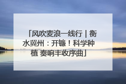 风吹麦浪一线行｜衡水冀州：开镰！科学种植 奏响丰收序曲