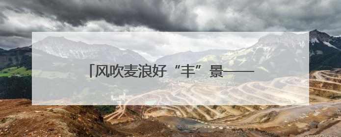 风吹麦浪好“丰”景——多地小麦机收一线见闻