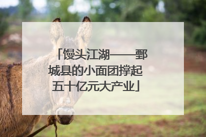 馒头江湖——鄄城县的小面团撑起五十亿元大产业