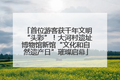 首位游客获千年文明“头彩”！大河村遗址博物馆新馆“文化和自然遗产日”璀璨启幕