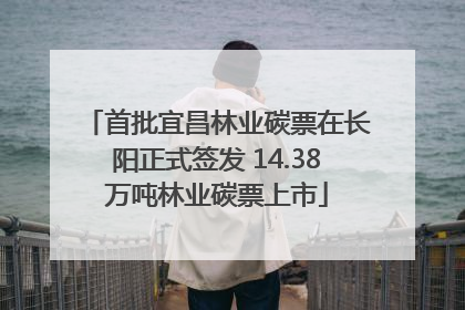 首批宜昌林业碳票在长阳正式签发 14.38万吨林业碳票上市