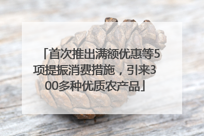 首次推出满额优惠等5项提振消费措施，引来300多种优质农产品