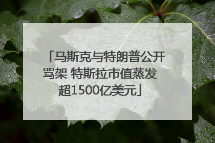马斯克与特朗普公开骂架 特斯拉市值蒸发超1500亿美元