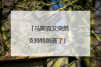 马斯克又突然支持特朗普了