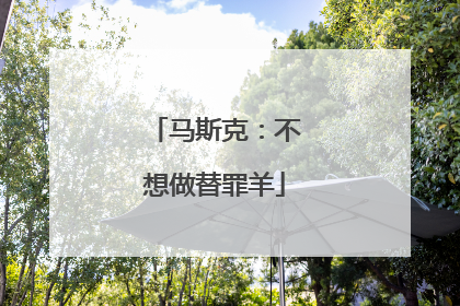 马斯克：不想做替罪羊