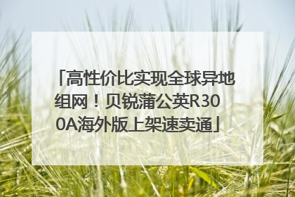 高性价比实现全球异地组网！贝锐蒲公英R300A海外版上架速卖通