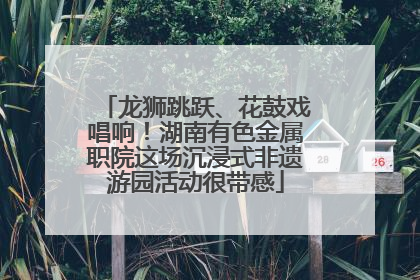 龙狮跳跃、花鼓戏唱响！湖南有色金属职院这场沉浸式非遗游园活动很带感