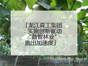 龙江森工集团：实施创新驱动 “数智林业”跑出加速度