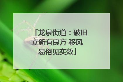 龙泉街道：破旧立新有良方 移风易俗见实效