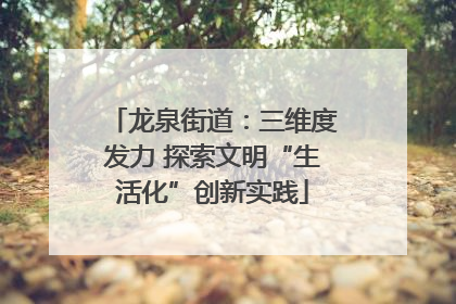 龙泉街道：三维度发力 探索文明“生活化”创新实践
