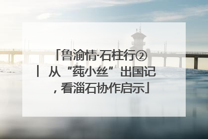 鲁渝情·石柱行② ︳从“莼小丝”出国记，看淄石协作启示