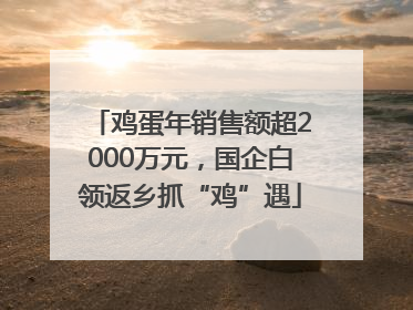 鸡蛋年销售额超2000万元，国企白领返乡抓“鸡”遇