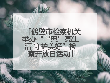 鹤壁市检察机关举办“‘典’亮生活 守护美好”检察开放日活动
