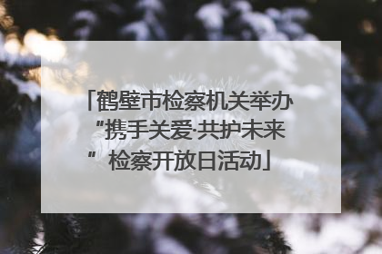 鹤壁市检察机关举办“携手关爱·共护未来”检察开放日活动