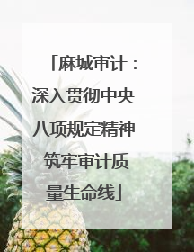 麻城审计：深入贯彻中央八项规定精神 筑牢审计质量生命线