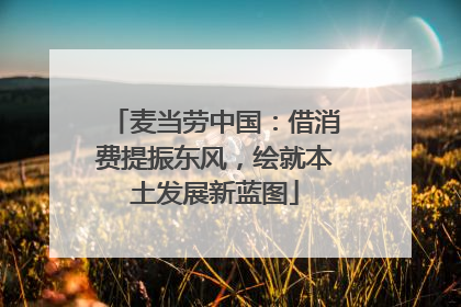 麦当劳中国：借消费提振东风，绘就本土发展新蓝图
