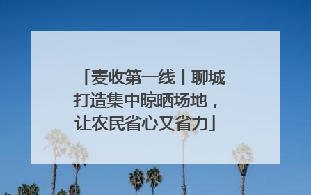麦收第一线丨聊城打造集中晾晒场地，让农民省心又省力