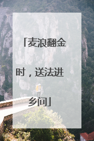 麦浪翻金时，送法进乡间