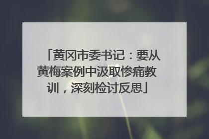 黄冈市委书记：要从黄梅案例中汲取惨痛教训，深刻检讨反思