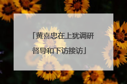黄喜忠在上犹调研督导和下访接访