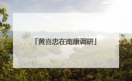 黄喜忠在南康调研