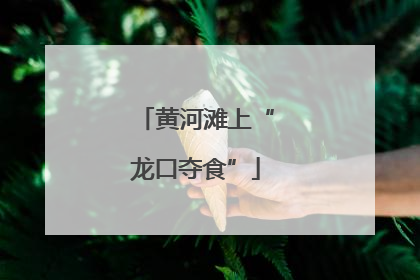 黄河滩上“龙口夺食”